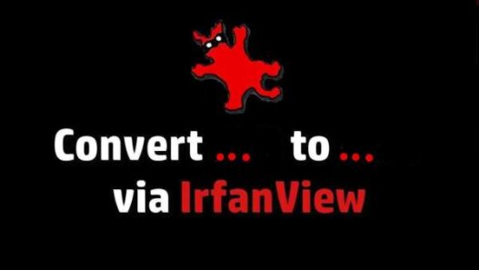 logo irfanview con scritta di conversione