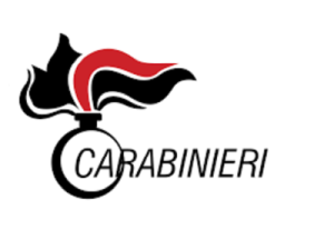 Logo carabinieri